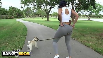 Dog Sex Big Butt Pornhub Videos